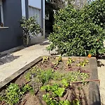 Villa Cela * マズノウ